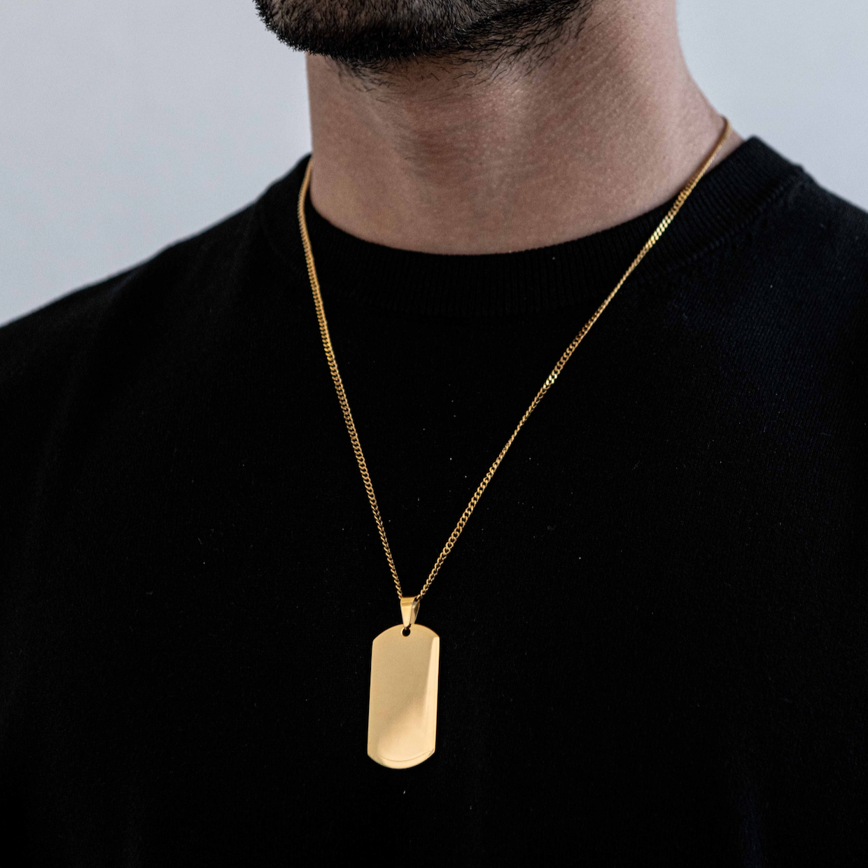 Insignia Pendant